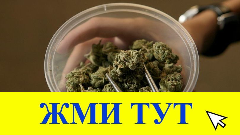 Купить наркотики в Тамбове